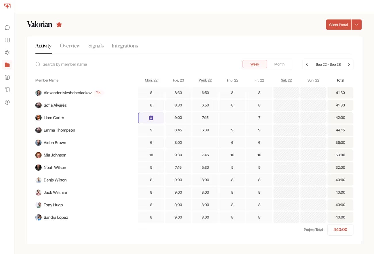 Tolmete project activity preview — billable hours tracked across team members for a client engagement